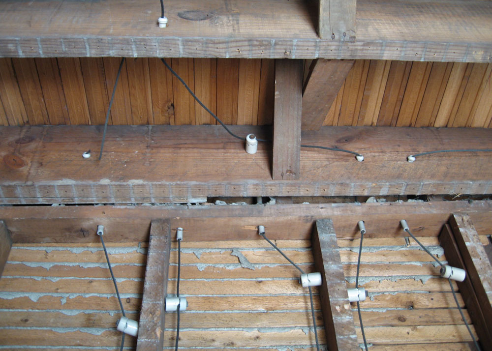 By Laura Scudder - Laura Scudder, CC BY-SA 3.0